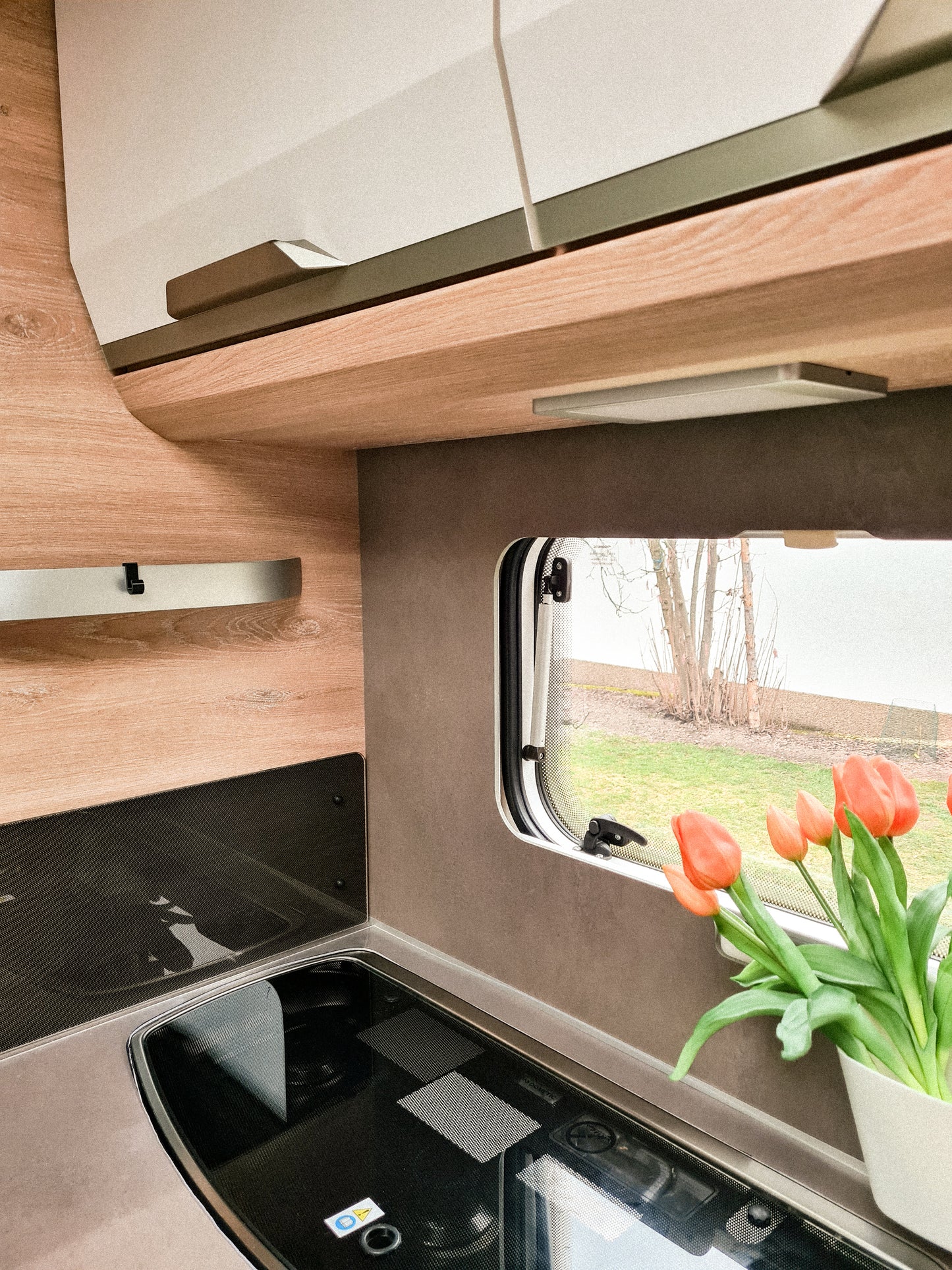 2x Haken für Gewürzregal